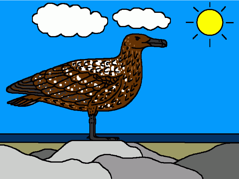 págalo subantártico para colorear