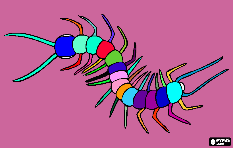 quilopodo para colorear