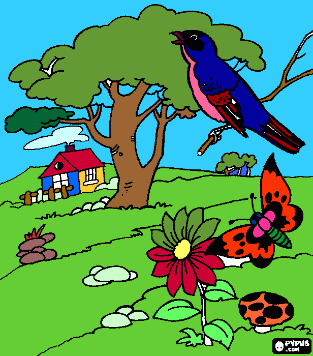 Roberto Agustin para colorear