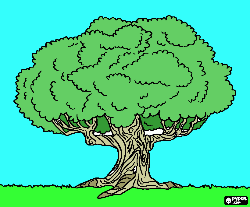 roble para colorear