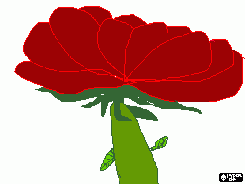 rosa bella para colorear