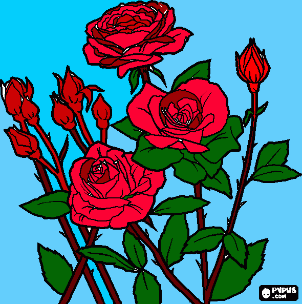 rosa linda para colorear