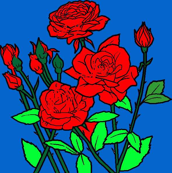 Rosa-Tania para colorear