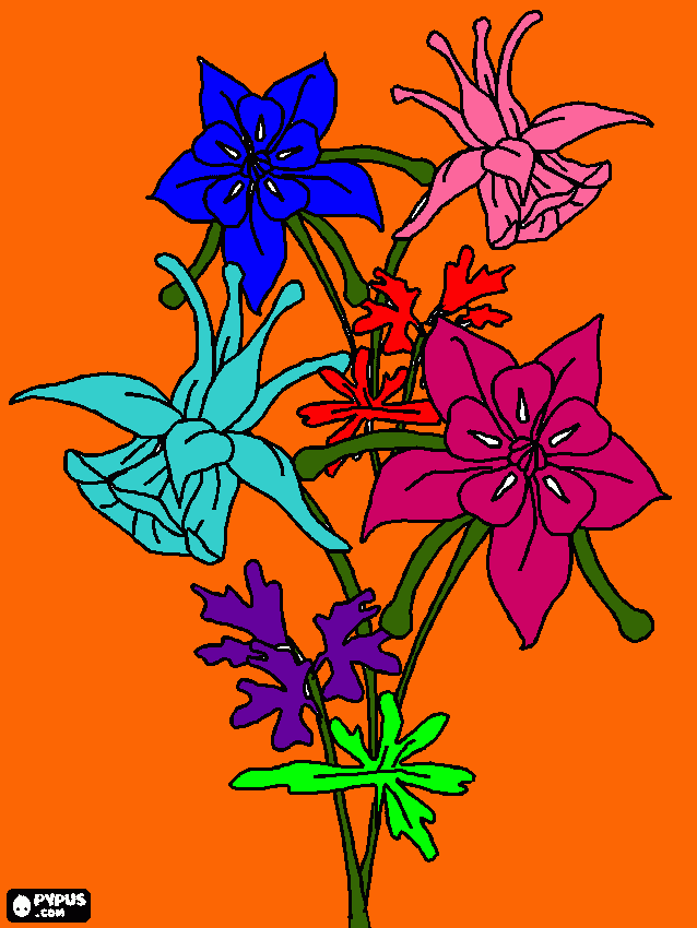 rosas colores intensos para colorear