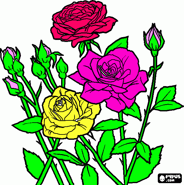 rosas divinas para colorear