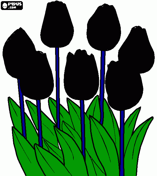 rosas negras  para colorear