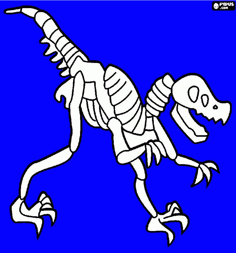 SANDOVAL para colorear