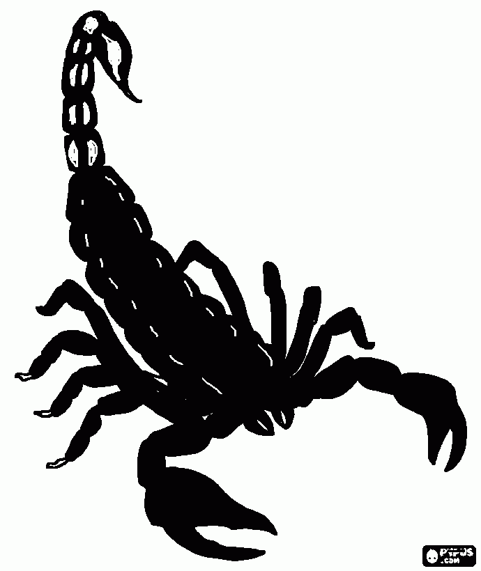 Scorpion para colorear