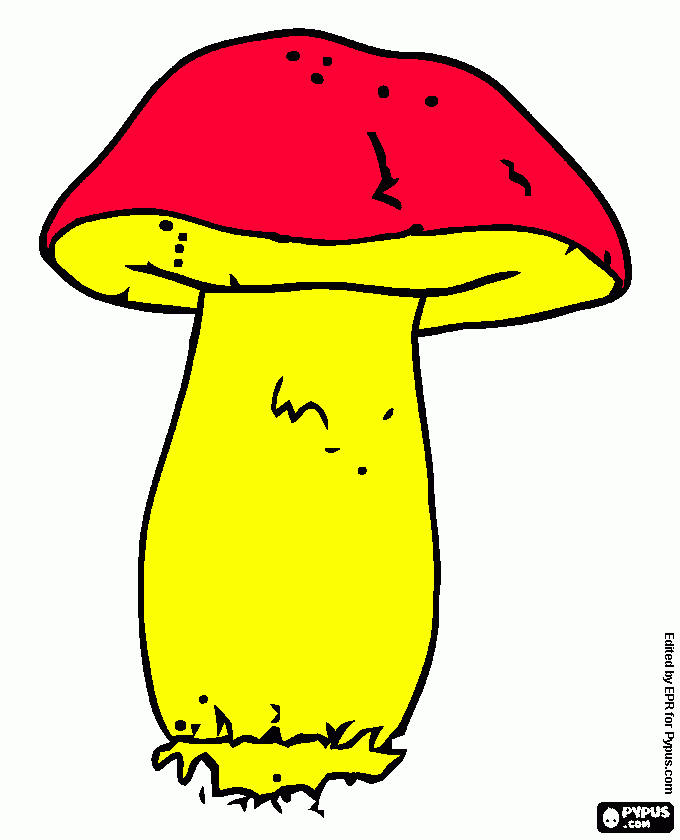 seta diniel nuevo para colorear