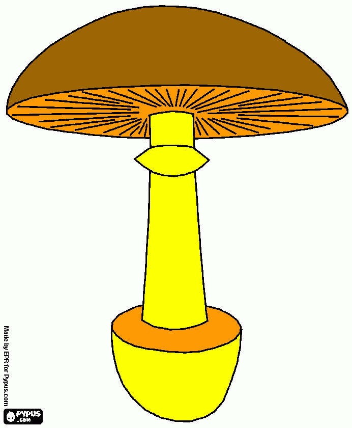 seta Enma para colorear