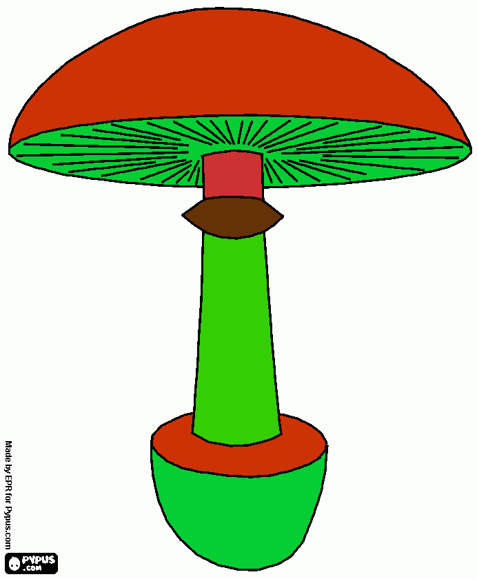 seta lucía para colorear