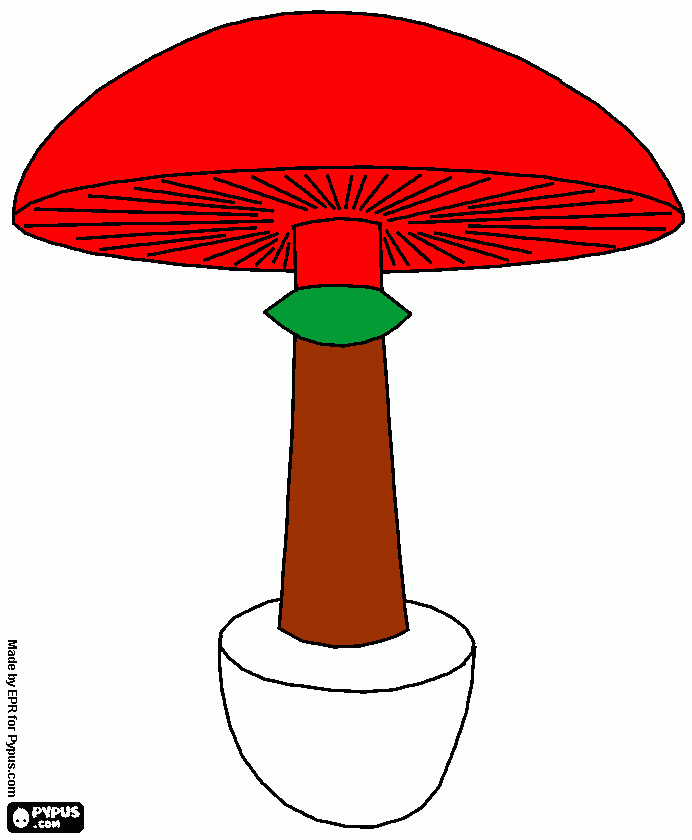 seta thiago para colorear