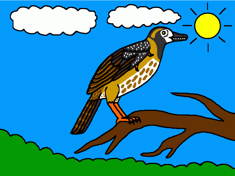 sinornis para colorear