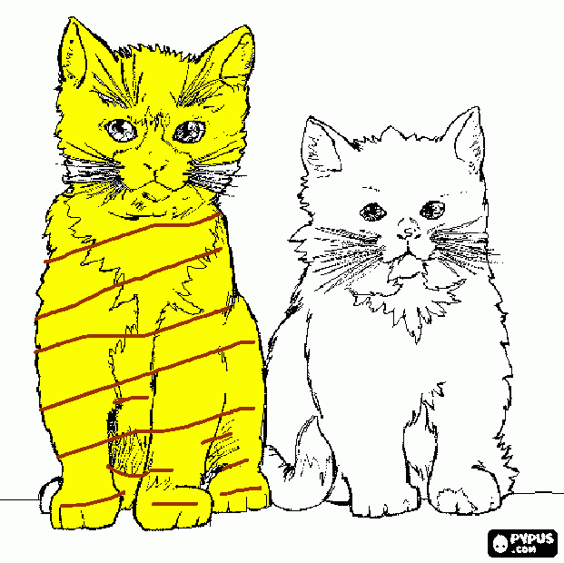 son lindos gatitos  para colorear