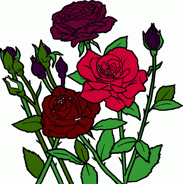 son rosas de amor para colorear