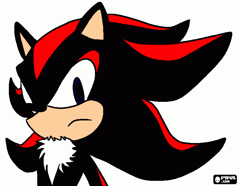 sonic bor para colorear