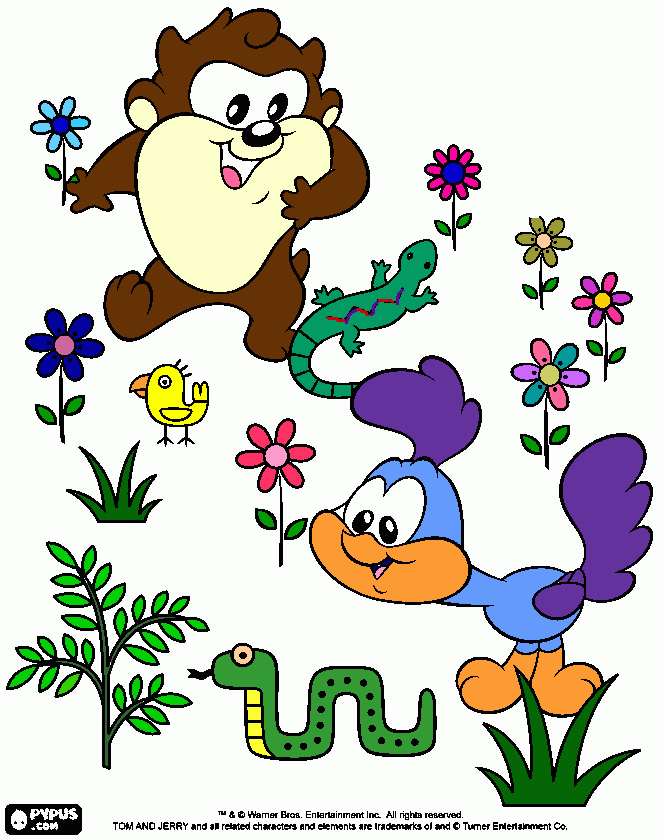 taz y correcaminos bebes para colorear