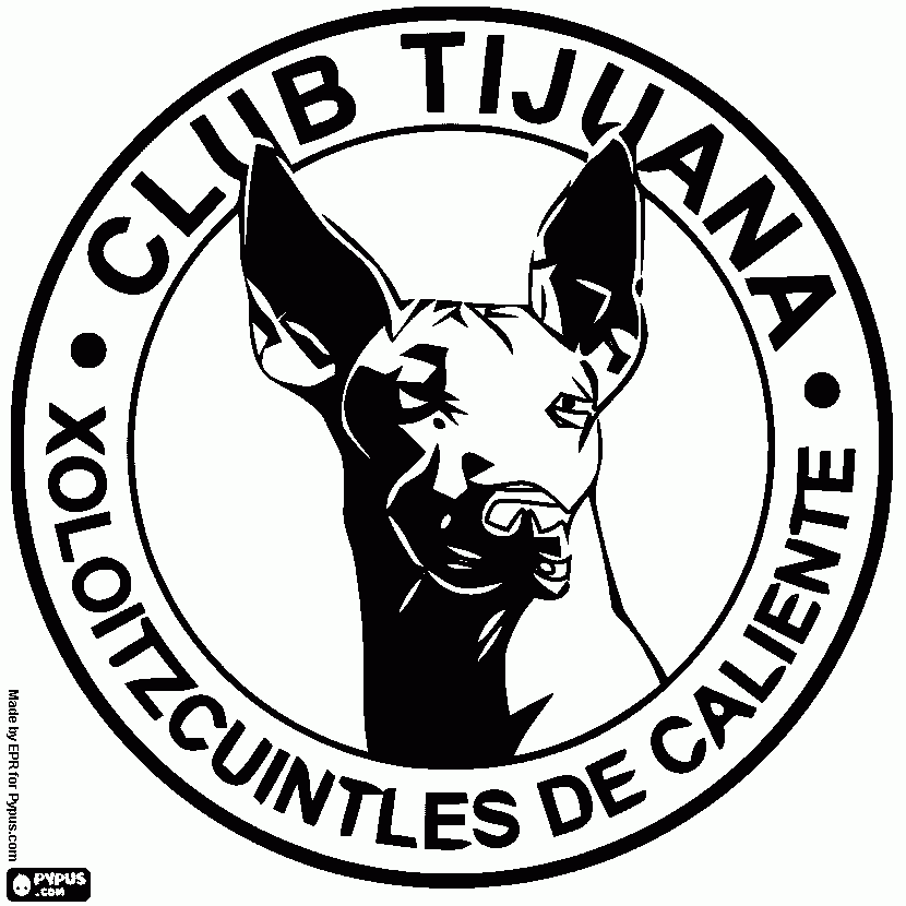 Tijuana Back Page