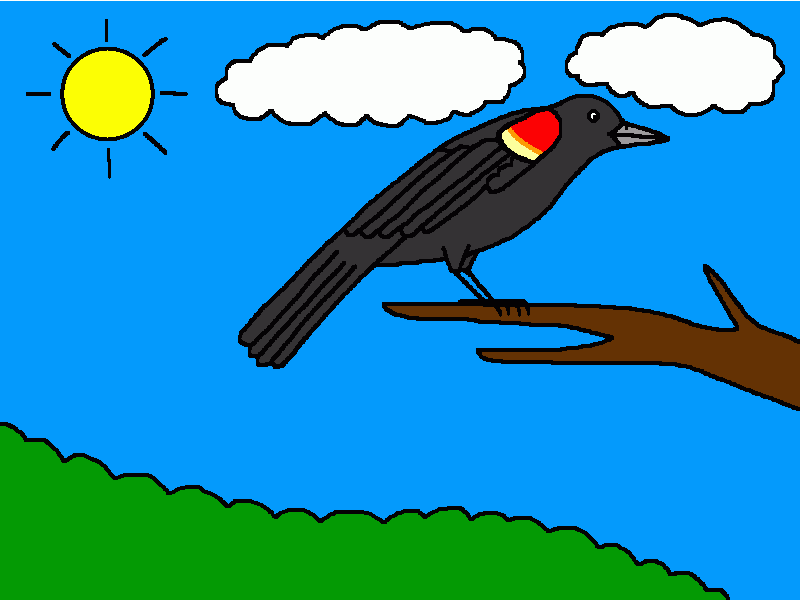 tordo sargento para colorear
