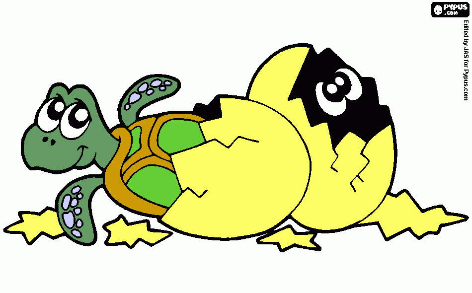 tortuga para cuento para colorear
