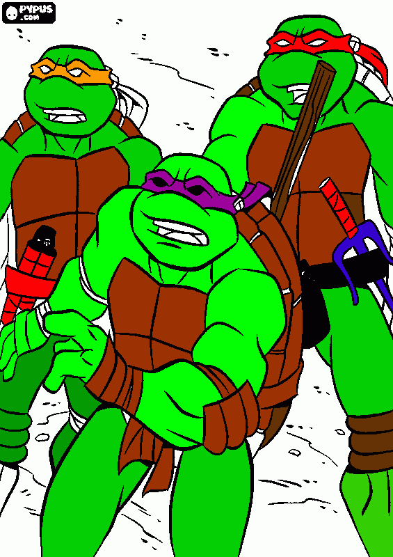 tortuganija para colorear