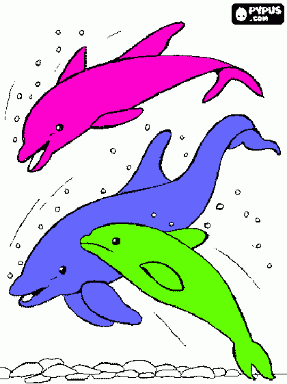 tres delfines de colores bonitos  para colorear