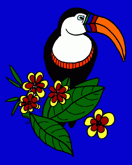 tucan para colorear