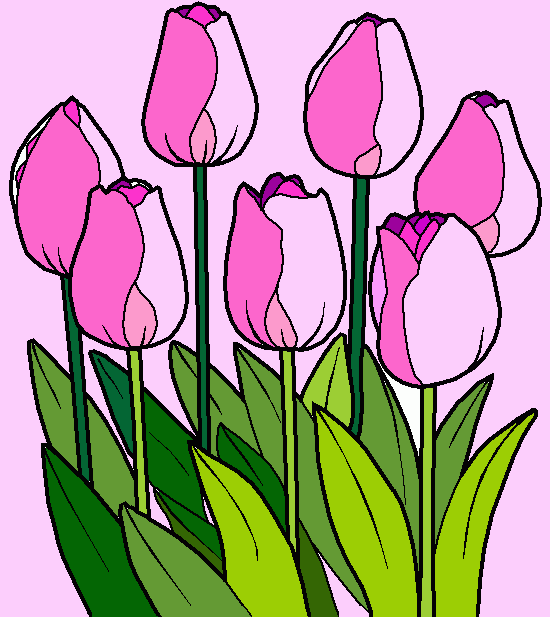 tulipanes para colorear
