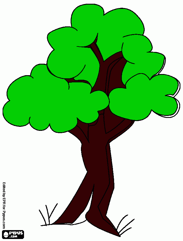 un arbol grande para colorear