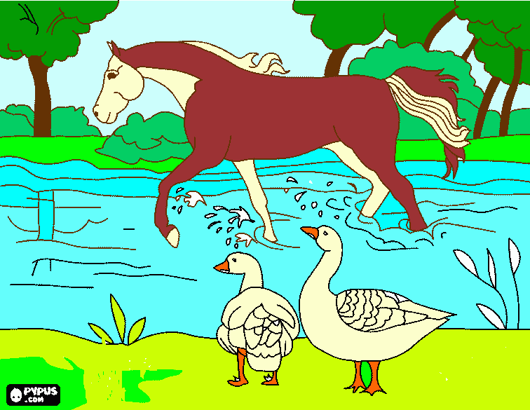 Un caballo en el agua para colorear
