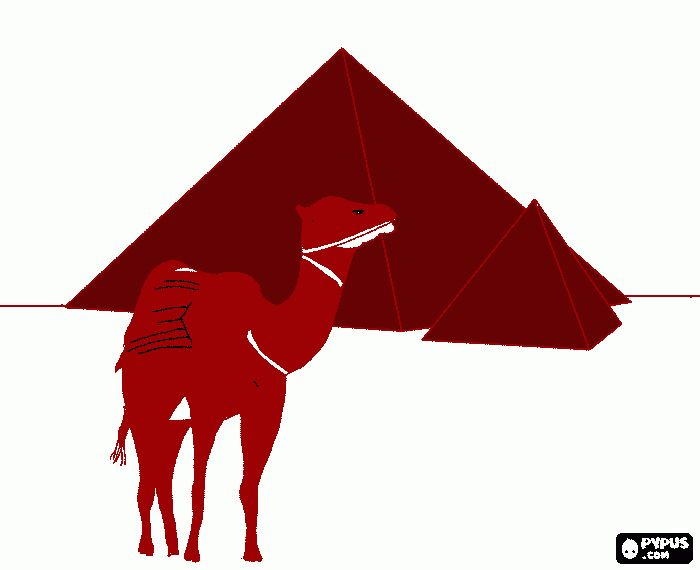 un camello frente a las piramides para colorear