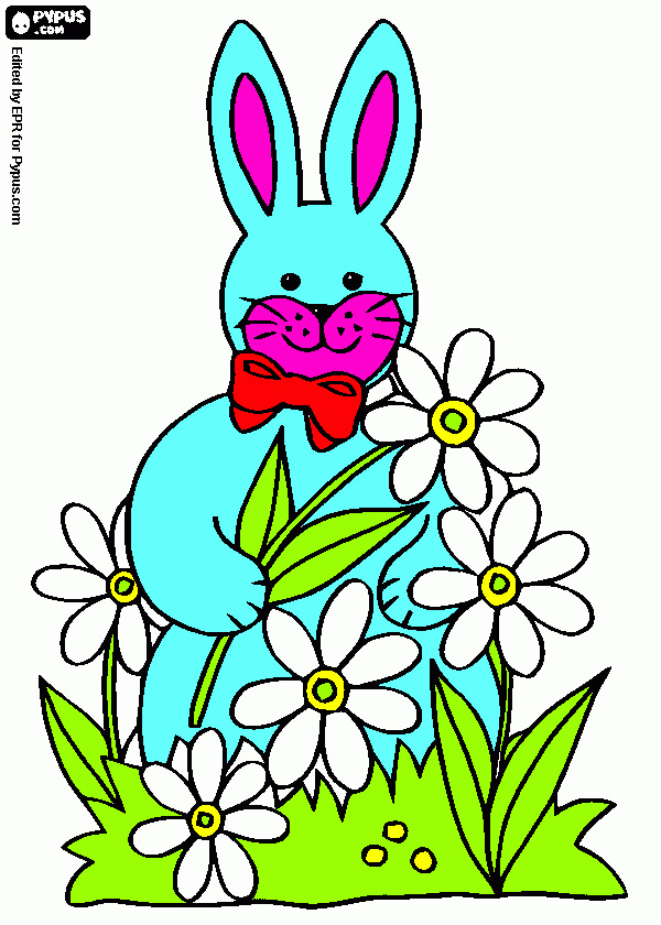 un conego oliendo una flor para colorear