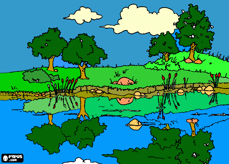  un dia de campo para colorear