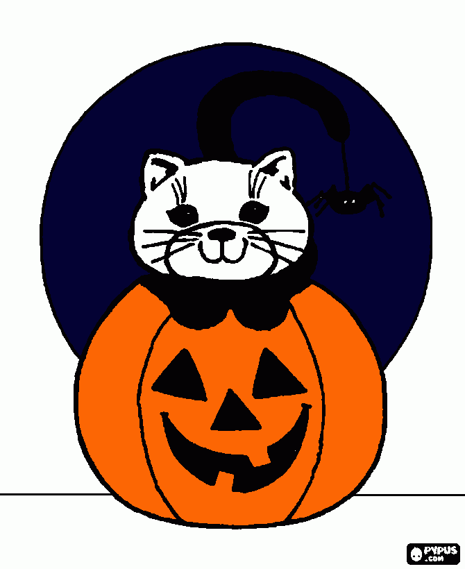 un gato de halloween para colorear