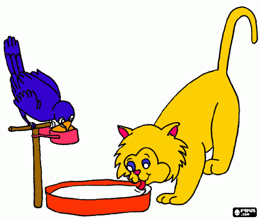 un gato y un loro bebiendo de sus platitos para colorear