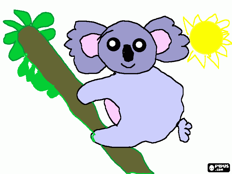 un koala sobre una rama para colorear