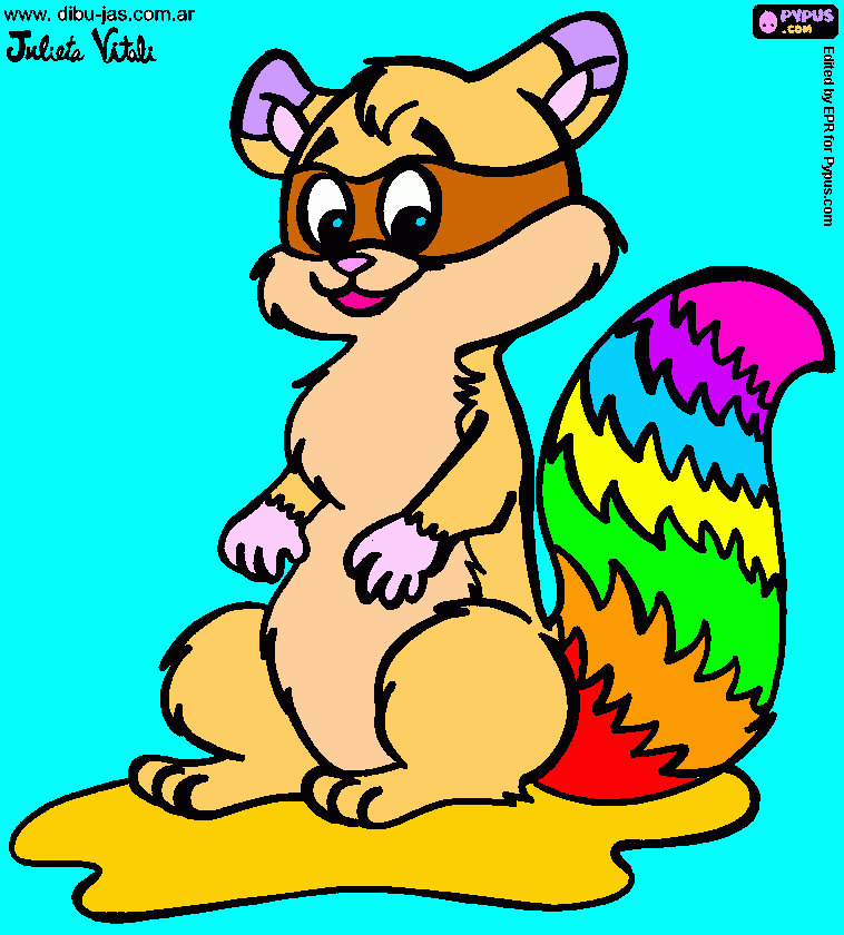 Un mapache para colorear