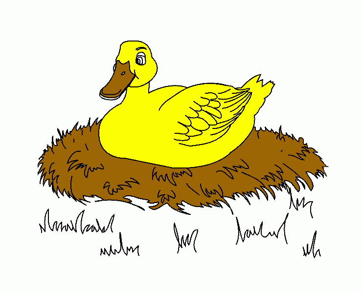 un pato lindo para colorear