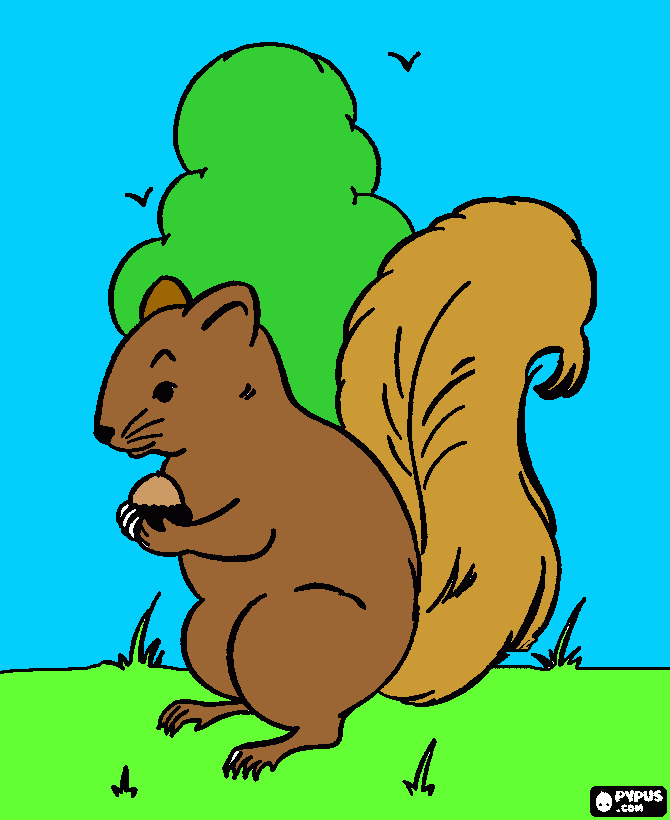 una ardilla comiendo nuez para colorear