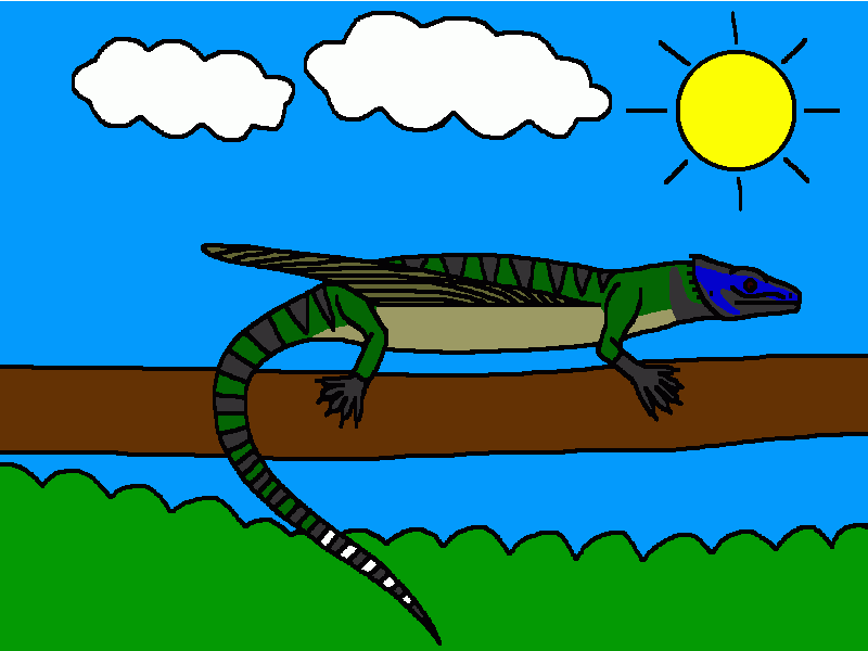 una especie de lagarto sobre una rama para colorear