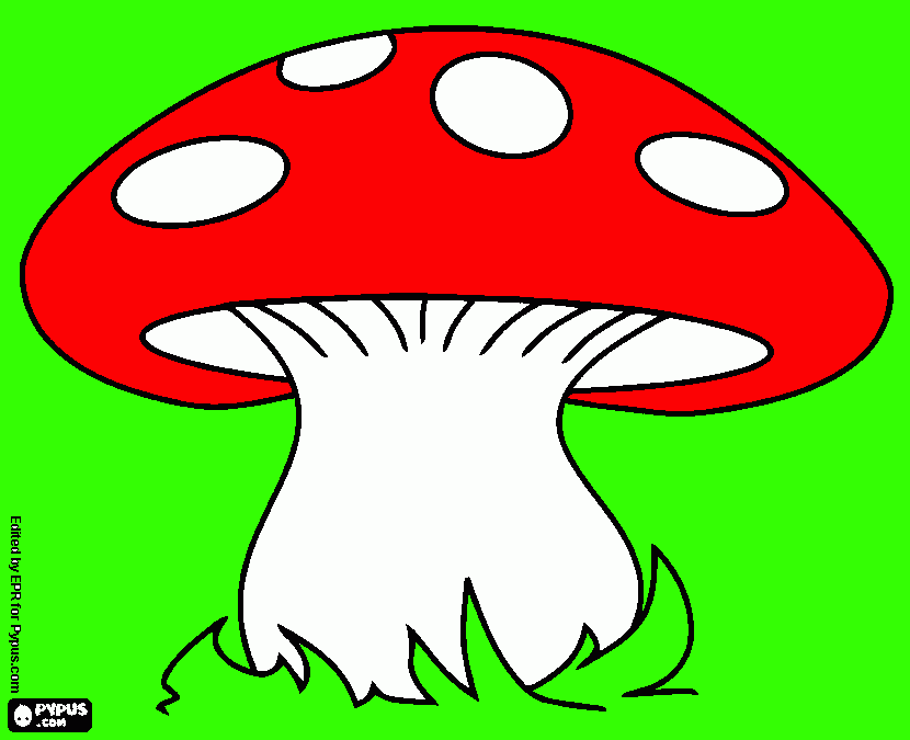 una gran seta en el bosque para colorear
