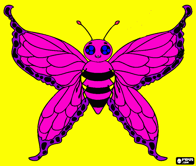 una mariposa bella para colorear