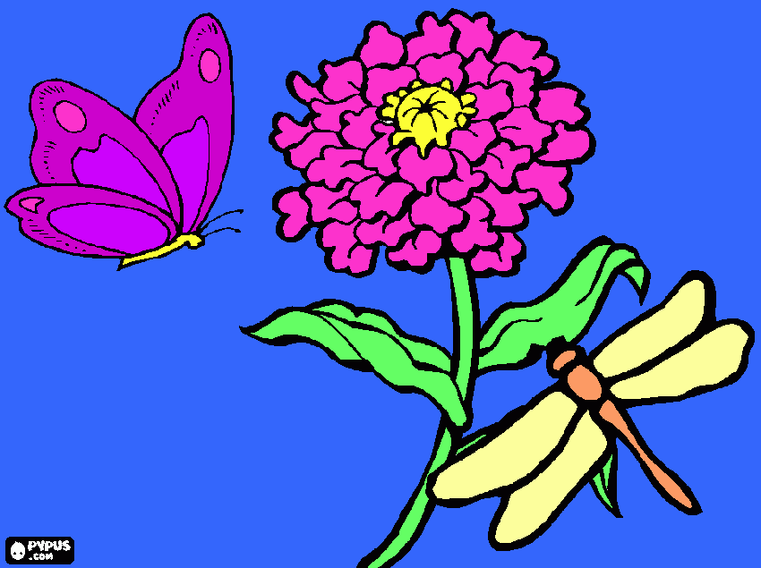 uncrisantemo con una libelula y una mariposa para colorear