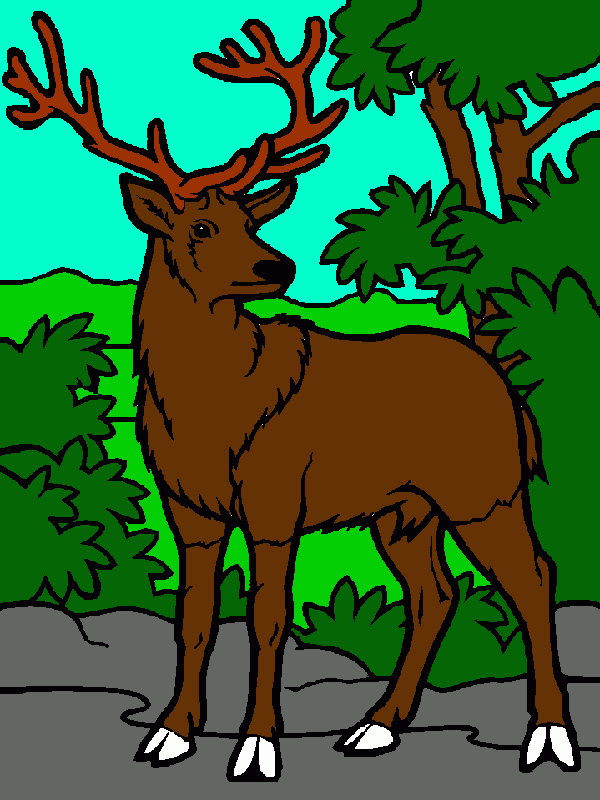 venado para colorear