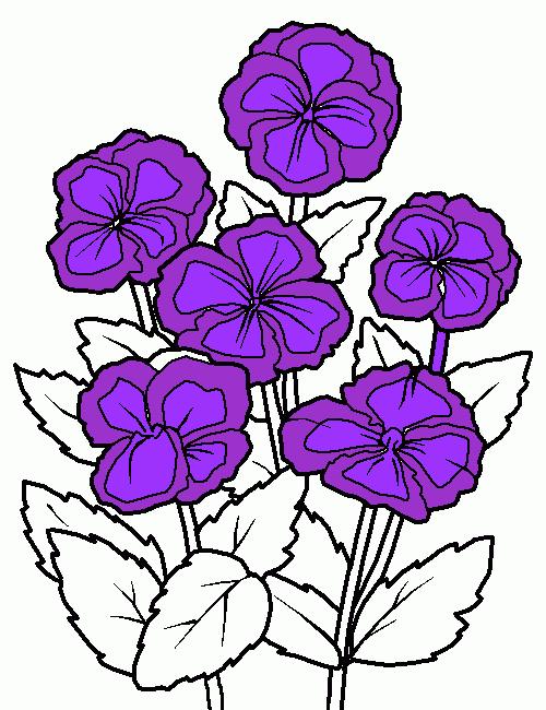 violeta para colorear