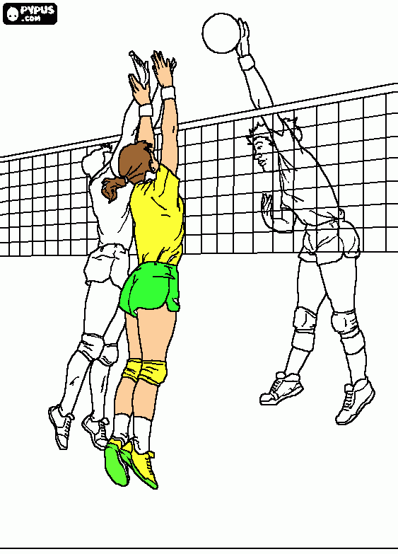 voley para colorear