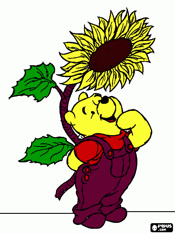 winee phoo para colorear