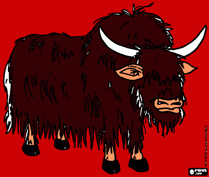 yak para colorear