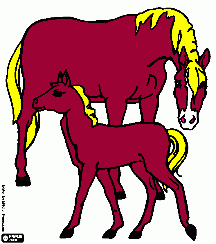 zaldiak para colorear