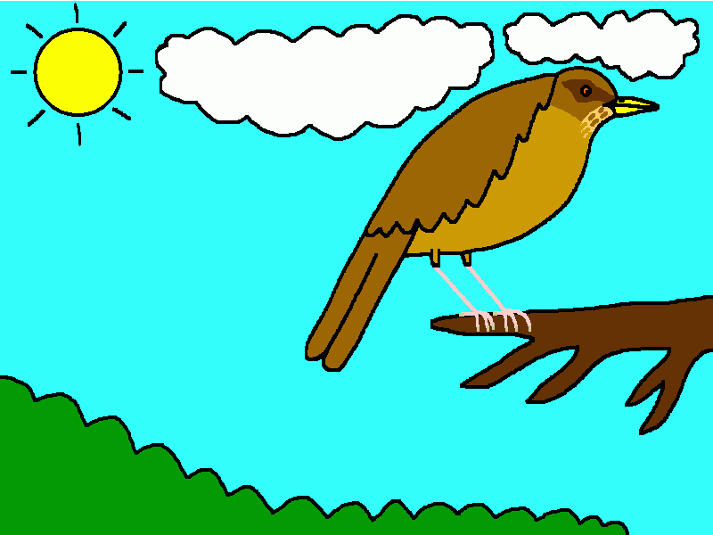 zorzal pardo para colorear